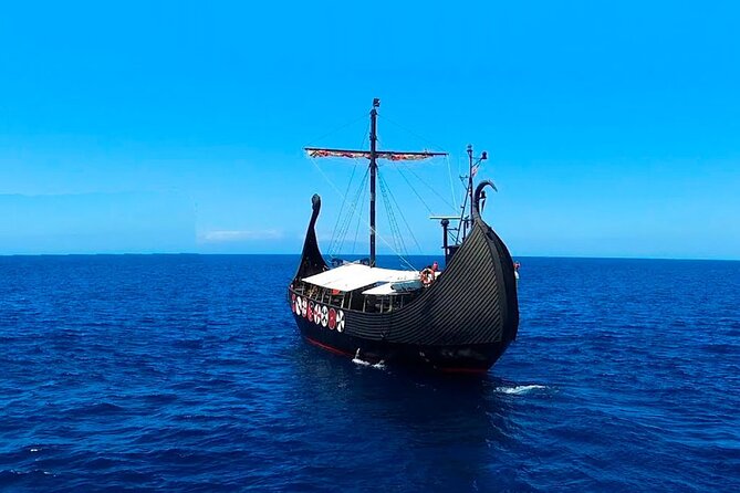 2h Viking Cruise Whales & Dolphins Watching - Seasickness considerations: the one drawback worth planning for