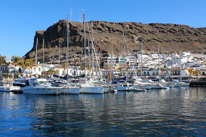 3h Boat Trip + Snorkeling in Puerto de Mogan - Photos, drone footage, and paddle board extras you’ll remember