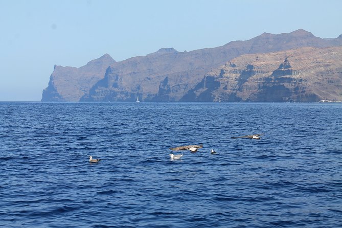 3h Boat Trip + Snorkeling in Puerto de Mogan - What 3 hours gives you, and what it doesn’t