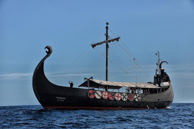 3h Viking Cruise with Drinks, Whales watching & Swimming Time - Who this cruise suits best, and who should be careful