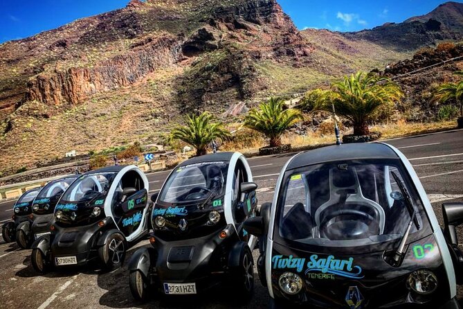 4 Hours Eco Safari Tour with Electric Car in Tenerife - Key things to know before you go