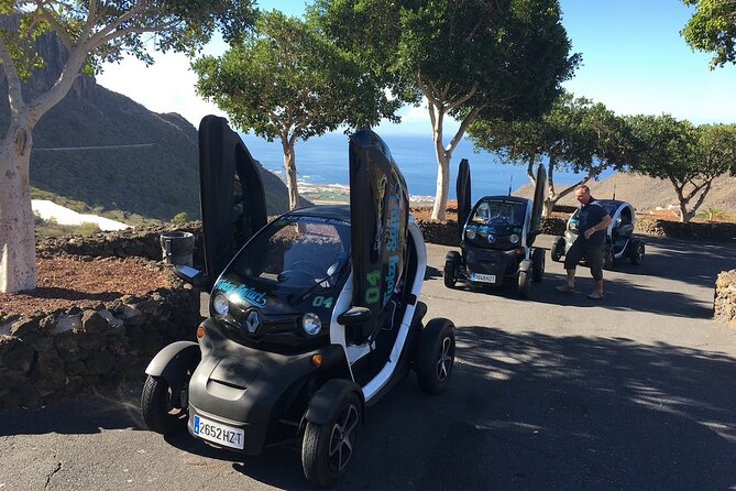 4 Hours Eco Safari Tour with Electric Car in Tenerife - Stop 3: Chio food production stop, tastings, and traditional craft vibes