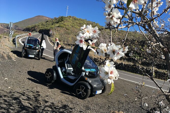4 Hours Eco Safari Tour with Electric Car in Tenerife - Stop 4: Puerto de Santiago banana plantation walk and how export fruit is grown