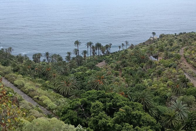 6hrs Private Tour in North Coast of Tenerife - San Juan de la Rambla and La Laja: Historic Streets Plus a Natural Pool