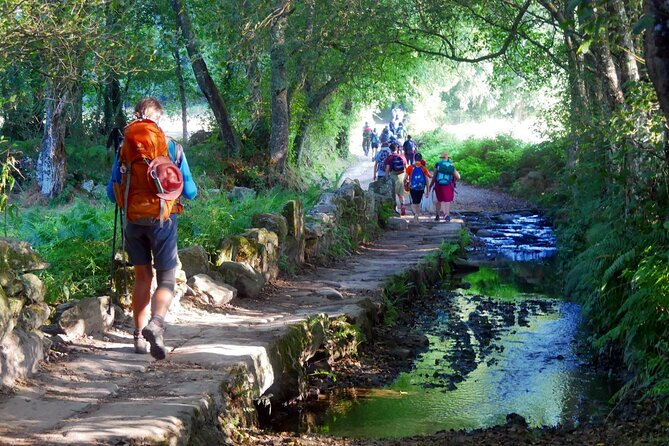 7-Day Tour of the French Way of Santiago from Sarria - Key things I’d circle before you book
