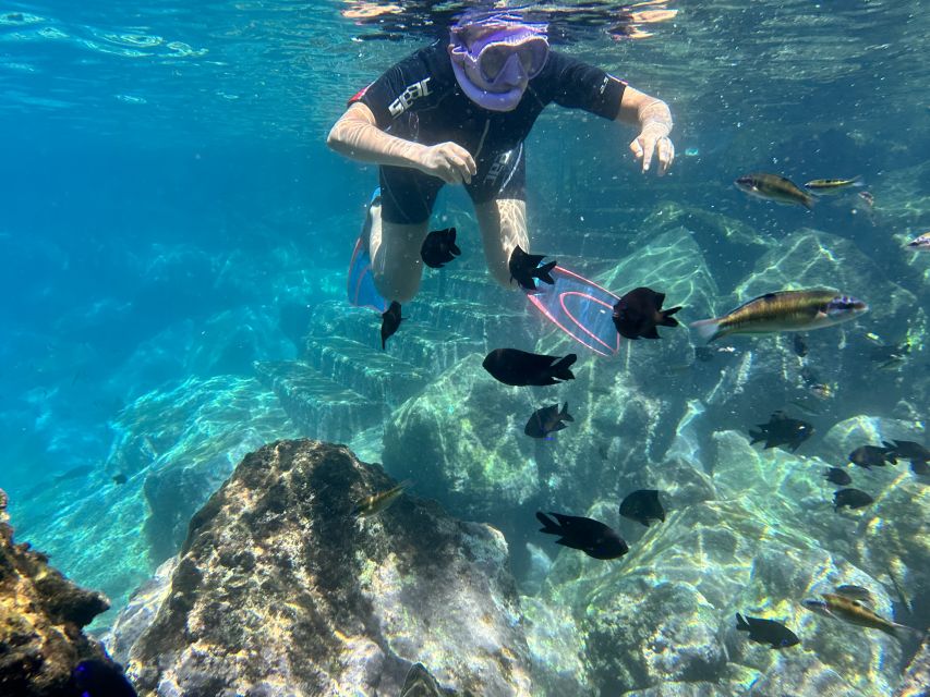 Abades: Guided Snorkeling Tour with Photos - Should You Book Abades Guided Snorkeling with Photos?