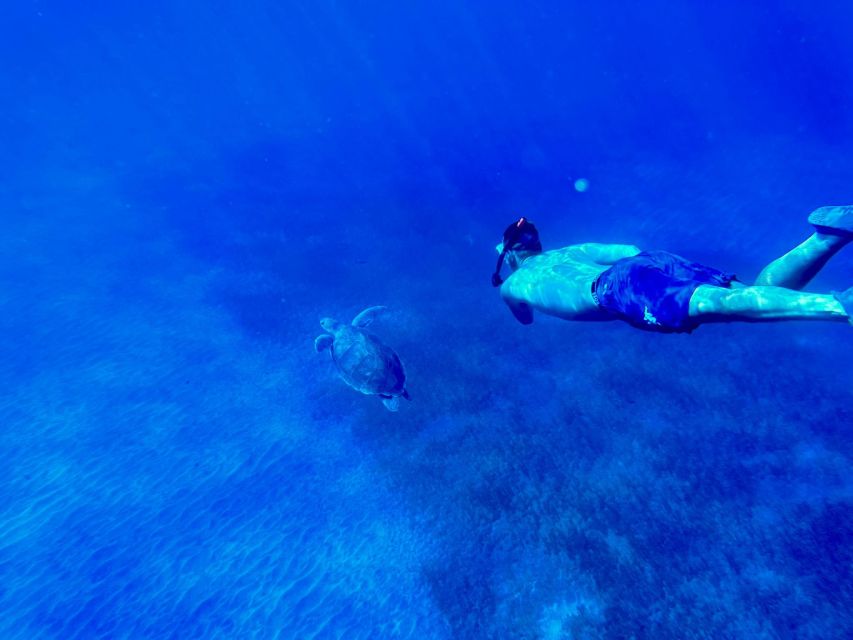 Abades: Guided Snorkeling Tour with Photos - First Gear: Meeting at Restaurant Magilu and Getting Suited Up