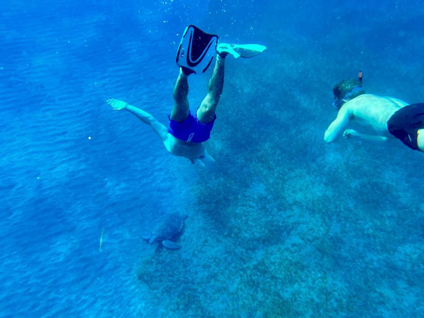 Abades: Guided Snorkeling Tour with Photos - Timing, Comfort, and What to Bring for a Smooth Session
