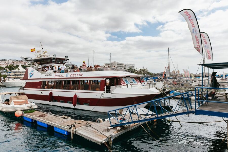 Adeje: Whale and Dolphin Watching Cruise with Lunch and Swim - Photos on board: how to treat that decision