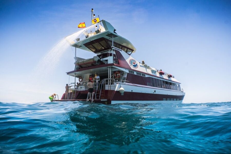 Adeje: Whale and Dolphin Watching Cruise with Lunch and Swim - Puerto Colón to the viewpoint stops: how the cruise flows