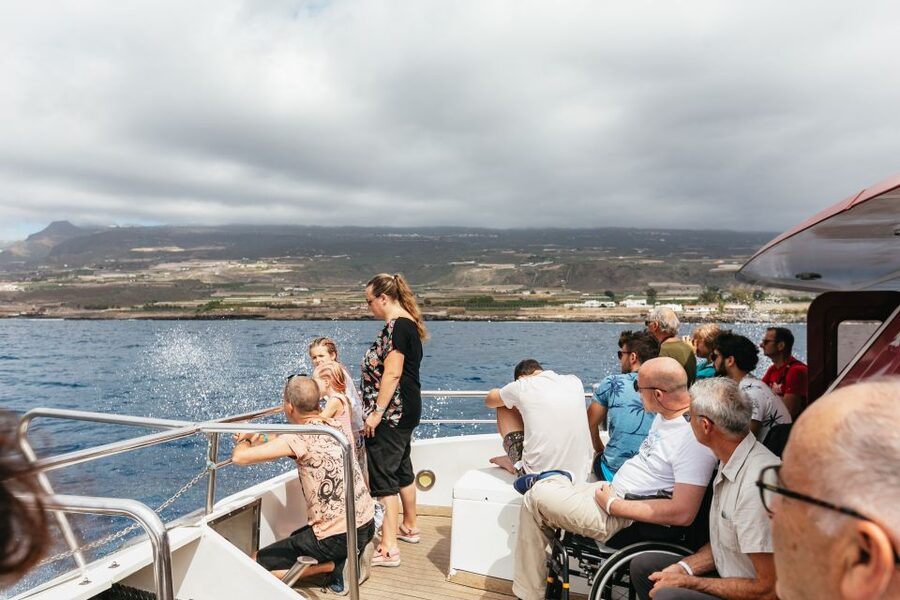Adeje: Whale and Dolphin Watching Cruise with Lunch and Swim - The underwater world: 16 panoramic submarine windows and why they matter