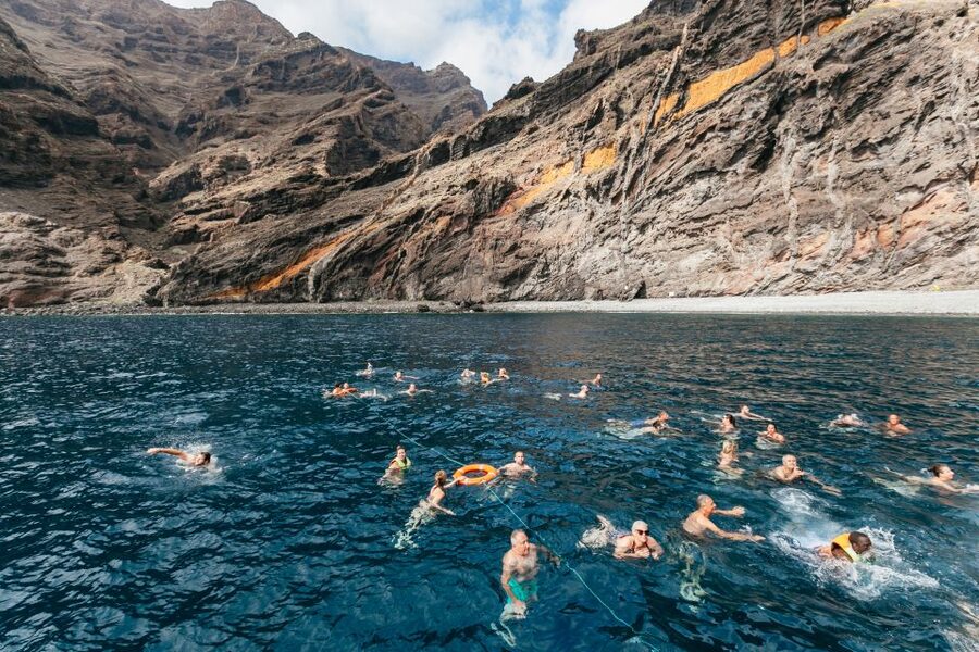 Adeje: Whale and Dolphin Watching Cruise with Lunch and Swim - Swim stop reality: clear water, timing, and what to bring