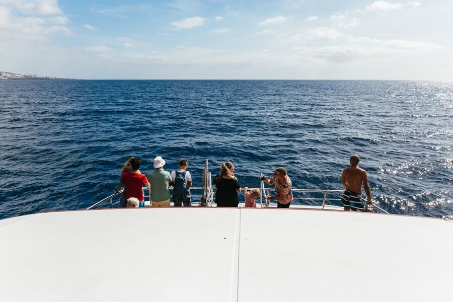 Adeje: Whale and Dolphin Watching Cruise with Lunch and Swim - Lunch and drinks: included, flexible options, and menu expectations