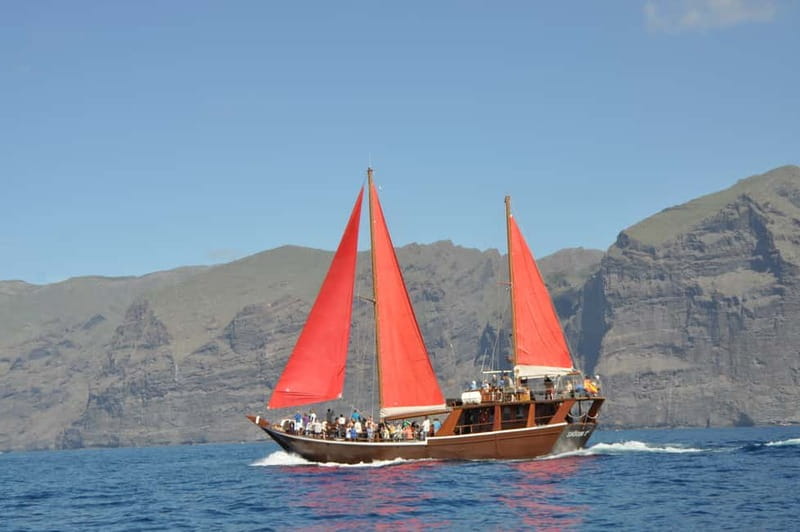 Adeje: Whale Watching, Lunch & Swim Stop at Los Gigantes - Lunch on Board, Drinks, and Real Value at About $64