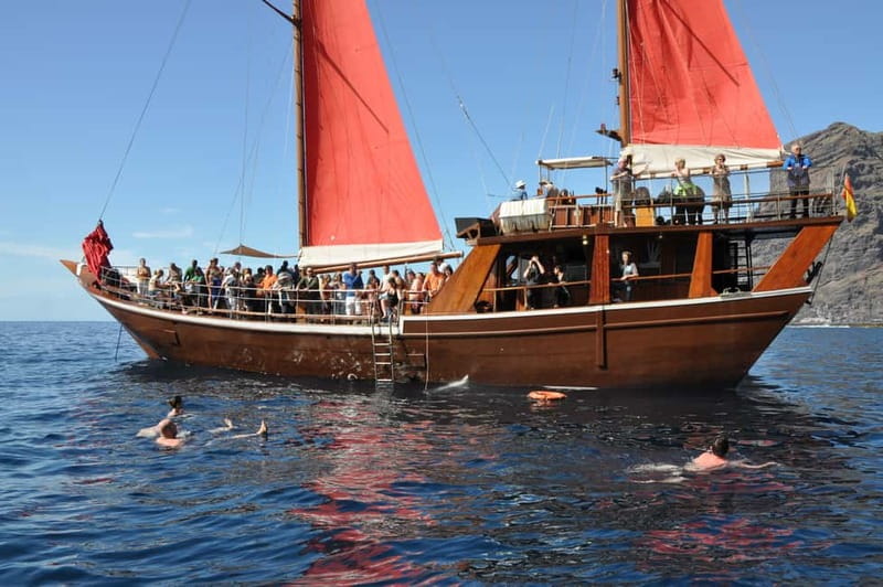 Adeje: Whale Watching, Lunch & Swim Stop at Los Gigantes - Getting the Timing Right: How the Day Flows