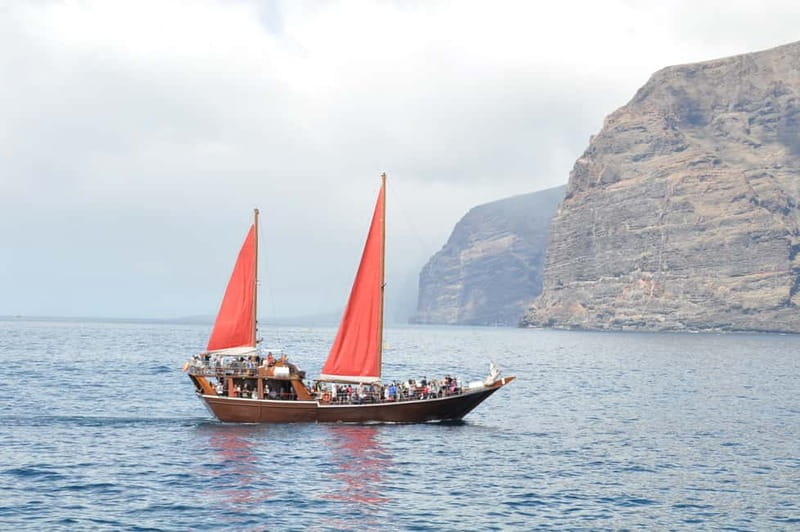 Adeje: Whale Watching, Lunch & Swim Stop at Los Gigantes - Practical Tips: What to Bring and How to Stay Comfortable