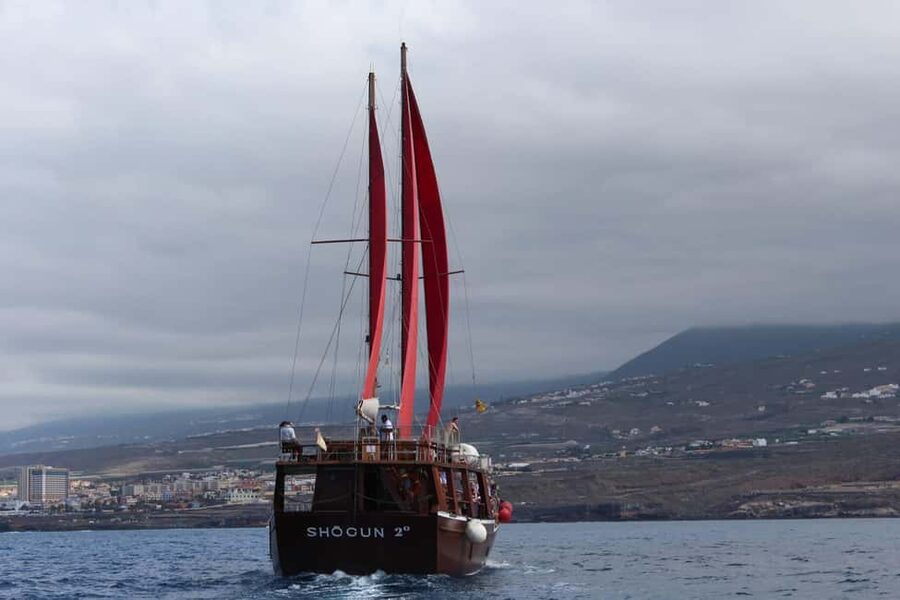 Adeje: Whale Watching, Lunch & Swim Stop at Los Gigantes - Should You Book This Whale Watching and Los Gigantes Cruise?