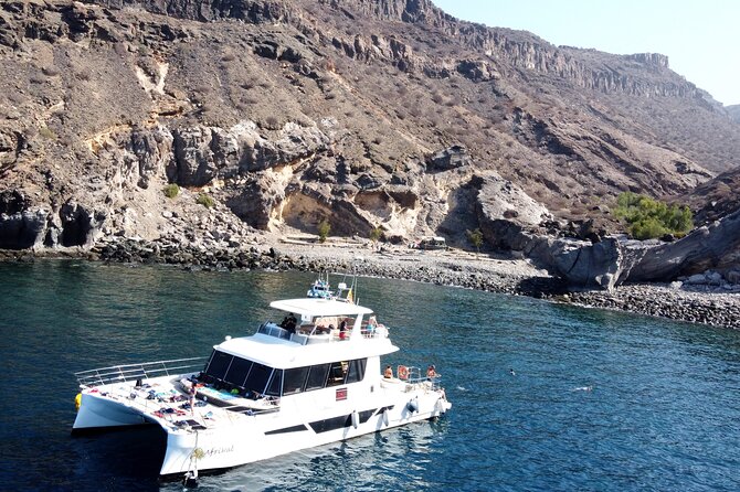 Afrikat Morning Cruise - Key points at a glance