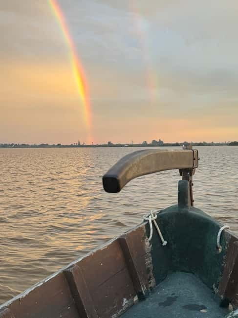 Albufera Valencia: Guided electric boat ride, also at sunset - Why the Albufera Electric Boat Ride Feels Different