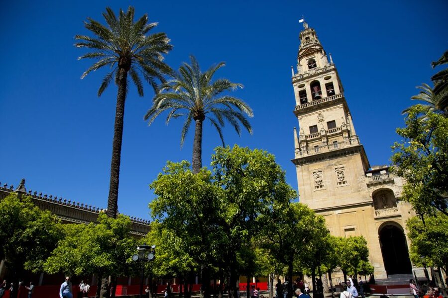 Alcazar of Cordoba Entry Ticket and Guided Tour - Alcazar of Cordoba, in plain terms: what this tour actually is