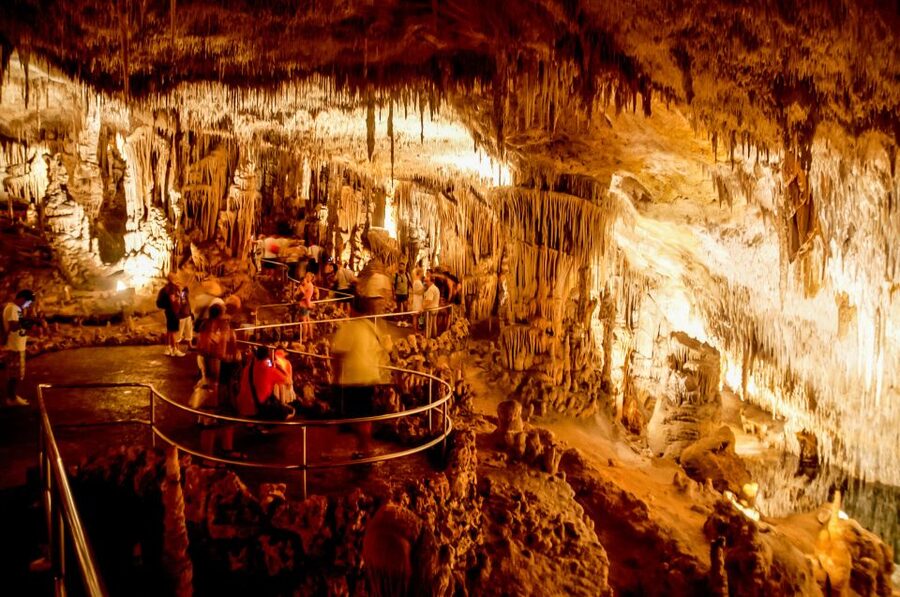 Alcudia: Caves of Drach Tour from the North with Boat Trip - Best-fit travelers for Alcúdia’s Drach Caves tour