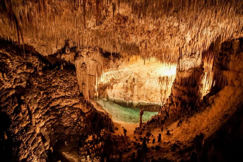 Alcudia: Caves of Drach Tour from the North with Boat Trip - The optional wooden boat crossing on Lake Martel