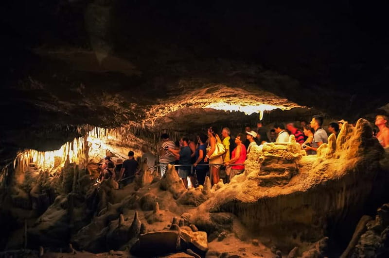 Alcudia: Caves of Drach Tour from the North with Boat Trip - Majorica pearl showroom: why it’s included, and when it’s worth it