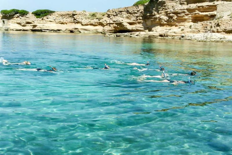 Alcudia: Formentor Beach, Lighthouse Cruise, and Small Group - Formentor Beach break: bathrooms, food options, and a real pause