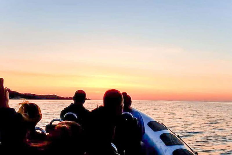 Alcudia: Formentor Beach, Lighthouse Cruise, and Small Group - On-board experience: guides, group size, and safety that feels real