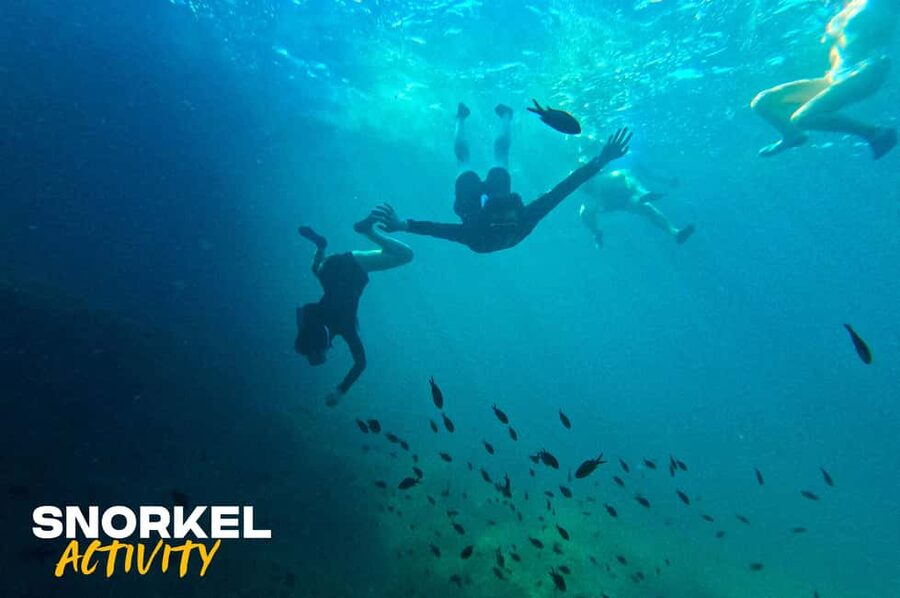 Alcudia: Kayak Tour with Snorkel & Sea Cave Swim - Key Highlights Worth Your Time