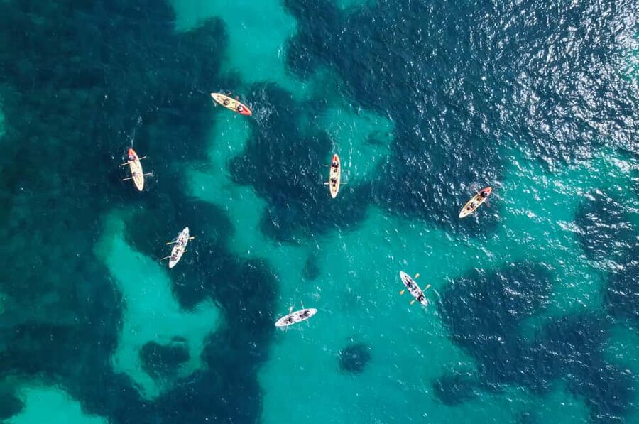 Alcudia: Kayak Tour with Snorkel & Sea Cave Swim - Practical Tips Before You Go