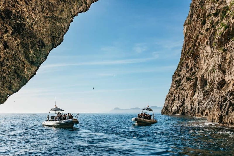 Alcudia or Can Picafort: Dolphin-Watching Cruise - Key Points Before You Go