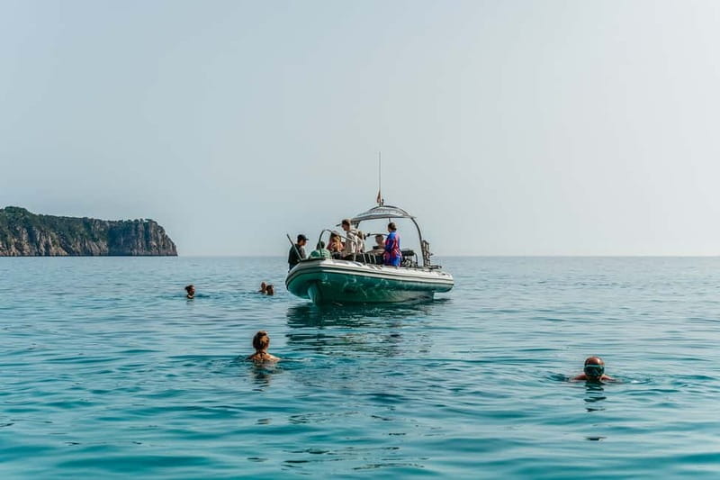 Alcudia or Can Picafort: Dolphin-Watching Cruise - Who Should Book This Cruise (and Who Might Skip It)