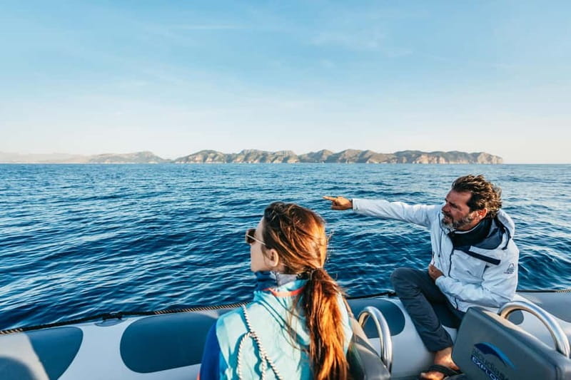 Alcudia or Can Picafort: Dolphin-Watching Cruise - Dolphin Cruise Basics: Alcudia and Can Picafort Pickups