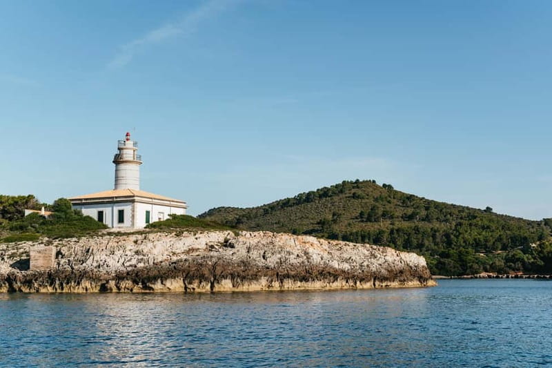 Alcudia or Can Picafort: Dolphin-Watching Cruise - Cabo Formentor from Sea Level: UNESCO Views Without the Crowds