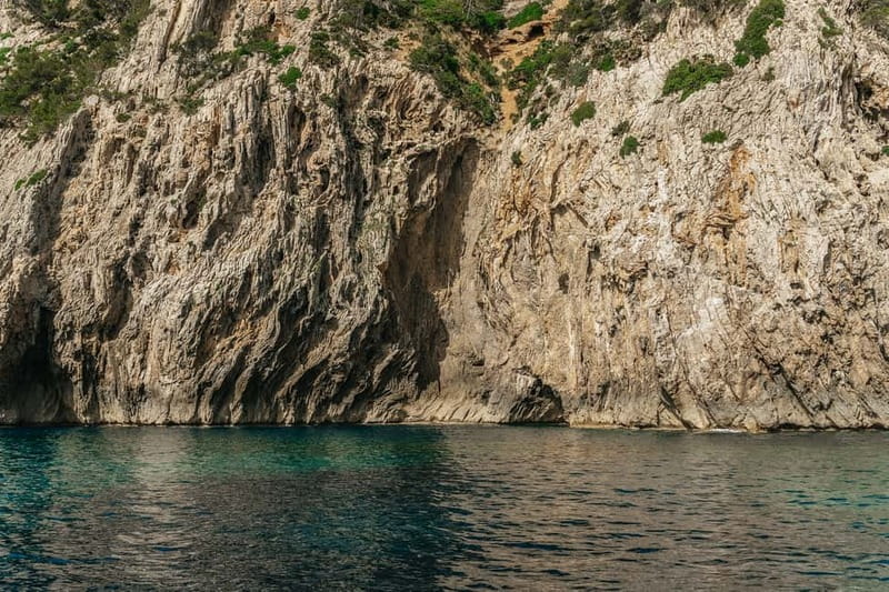 Alcudia or Can Picafort: Dolphin-Watching Cruise - Dolphin Spotting Done Right: Pods, Baby Dolphins, and a Real Search