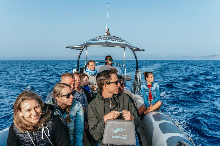 Alcudia or Can Picafort: Dolphin-Watching Cruise - Choppy Water Reality Check: Motion Sickness and What to Wear