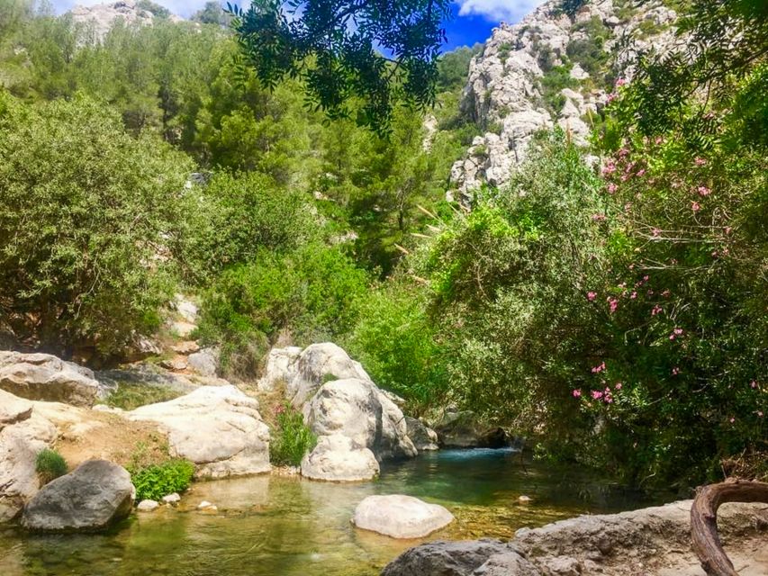 Algar Waterfalls Coach Trip - From Albir & Benidorm - Eating Around Algar: Picnic Rules and Solid Nearby Options