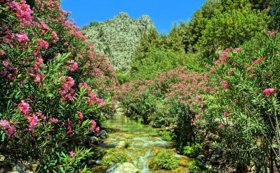 Algar Waterfalls Coach Trip - From Albir & Benidorm - Should You Book Algar Waterfalls From Albir or Benidorm?