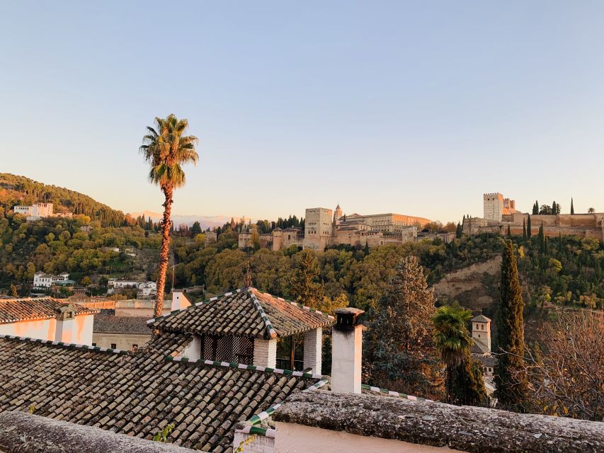 Alhambra and Nasrid Palaces Guided Tour with Tickets - Generalife Gardens: A Calm Break and the Best Views Back Toward the Palace Complex