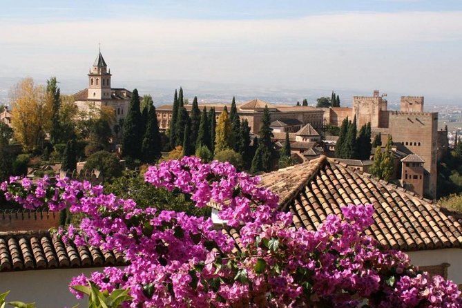 Alhambra &Charles Palace Guided Tour with Optional Nasrid Palaces - When you choose the surroundings option: Bosque de la Alhambra and free-area seeing