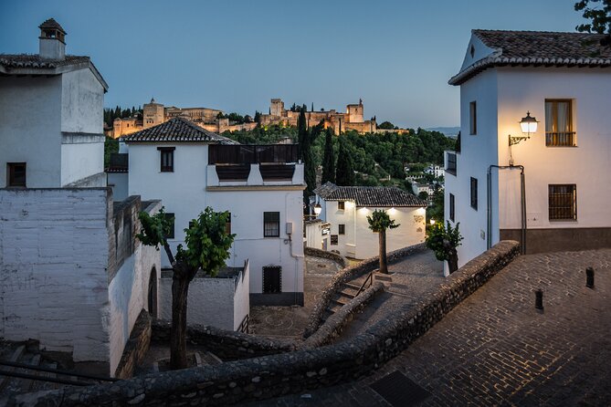 Alhambra with Nazaries Palaces Private Tour - Meeting point near the gardens, then tickets sorted