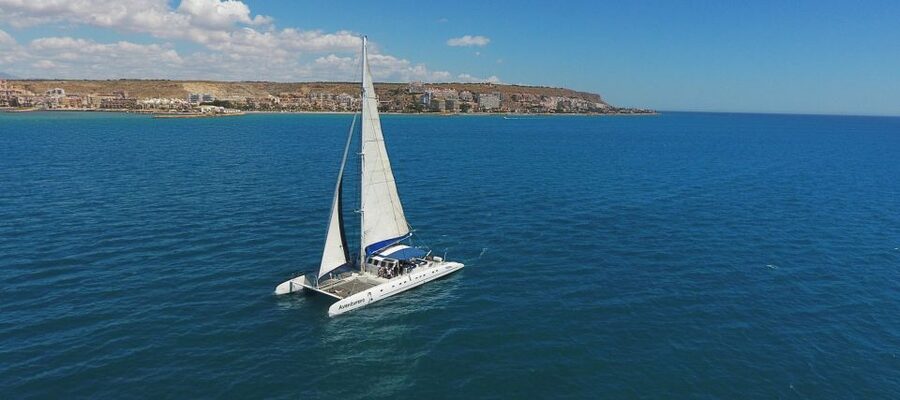 Alicante: 6-Hour Catamaran Cruise to Tabarca Island - Key Highlights You Will Care About