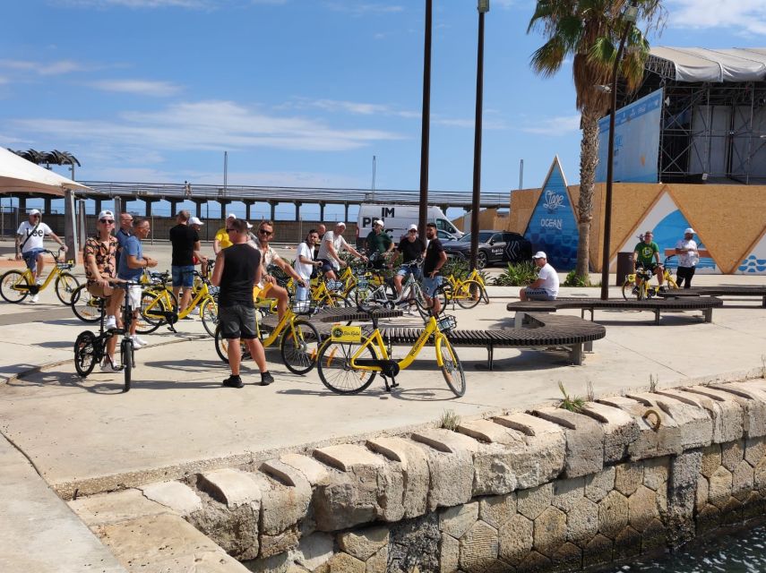 Alicante: City and Beach Bike Tour - Santa Barbara Castle and the Old-Tree Shade: The Big View Moment