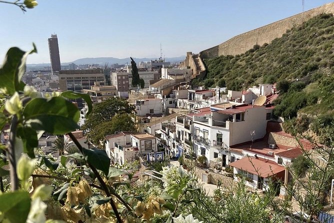 Alicante Historic Small Group Tour with Tapas Tasting - Which guide style you can expect