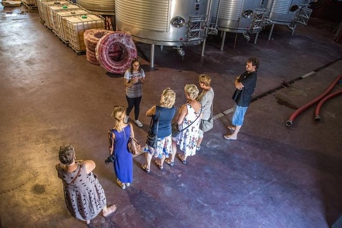 Alicante: Small-Group Countryside Wine Tour with 4 Tastings - Half-Day Wine Escape From Alicantes Port Area