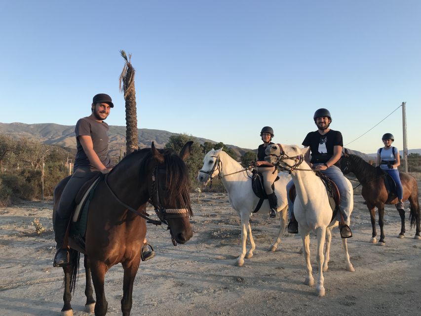 Almeria: Horse Riding Tour Through the Tabernas Desert - Key highlights worth planning for