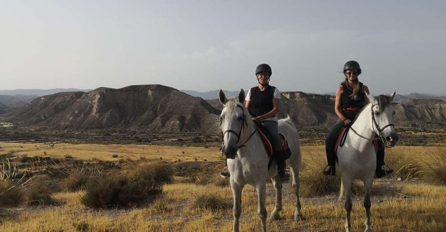 Almeria: Horse Riding Tour Through the Tabernas Desert - The 2-hour ride rhythm: what beginners should expect