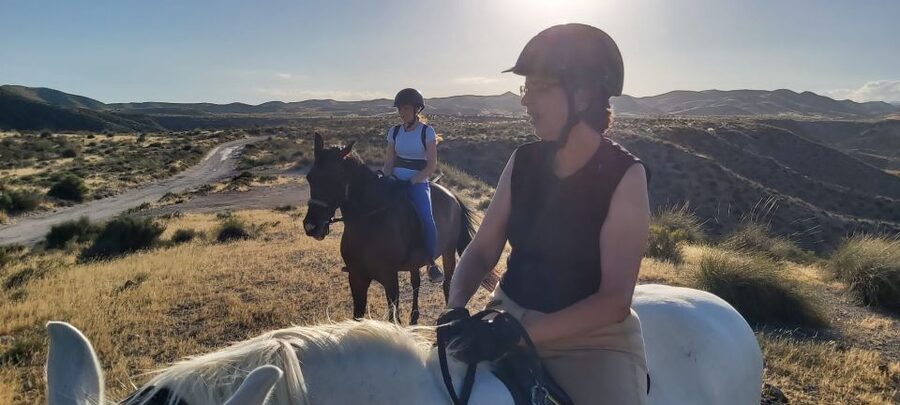 Almeria: Horse Riding Tour Through the Tabernas Desert - Llano del Búho and La Tortuga: the ride’s best stretch