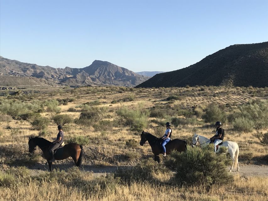 Almeria: Horse Riding Tour Through the Tabernas Desert - Safety and rules: the stuff that keeps the ride smooth